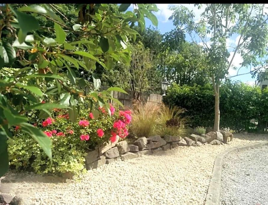 Foxhollow House บลาร์นีย์ ภายนอก รูปภาพ
