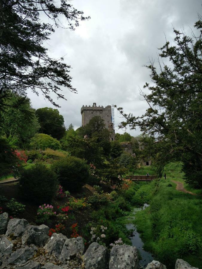 Foxhollow House บลาร์นีย์ ภายนอก รูปภาพ